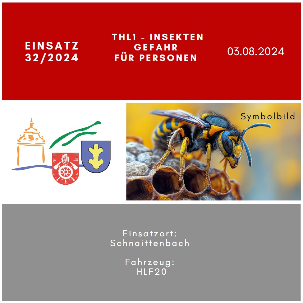 Read more about the article THL 1 – Insekten (Gefahr für Personen)