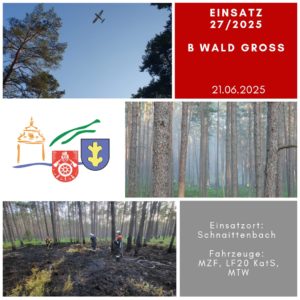 Read more about the article B WALD GROSS