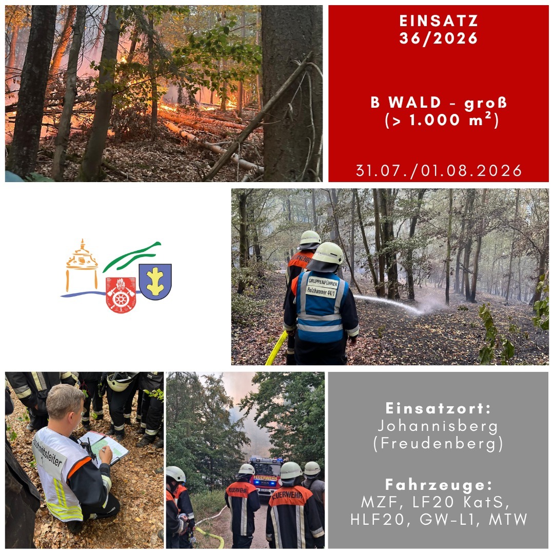 You are currently viewing B Wald groß