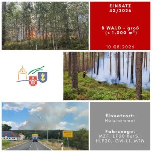 Waldbrand in Holzhammer